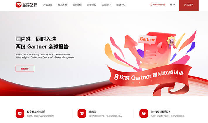 派拉软件